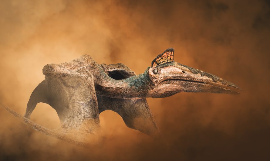 Les animaux préhistoriques les plus incroyables