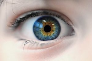 Les différents yeux et leur rareté – Aujourd'hui 100 Faute